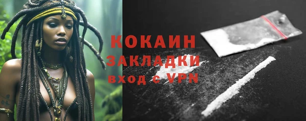 крисы Баксан