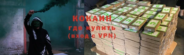 крисы Баксан