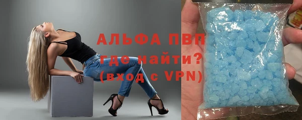 крисы Баксан