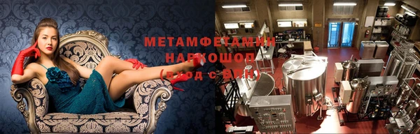 крисы Баксан